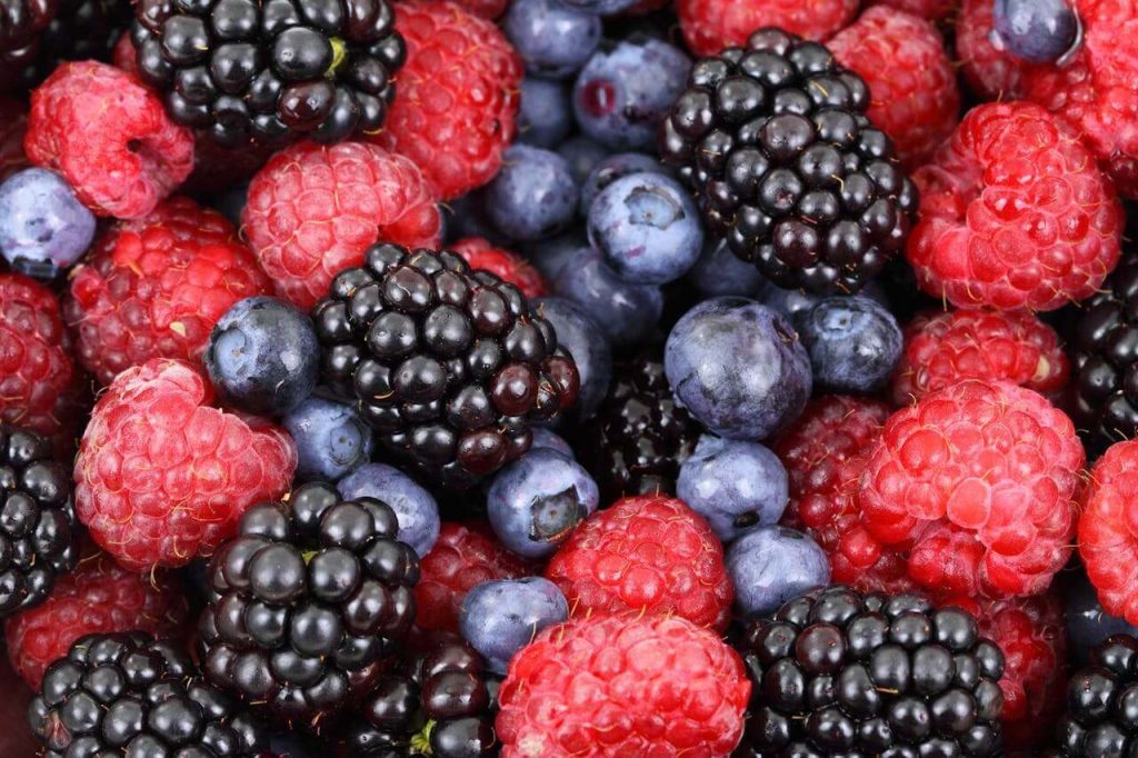 berries for vocal cords